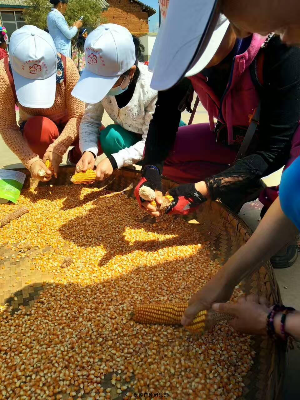 微信图片_20170320141649