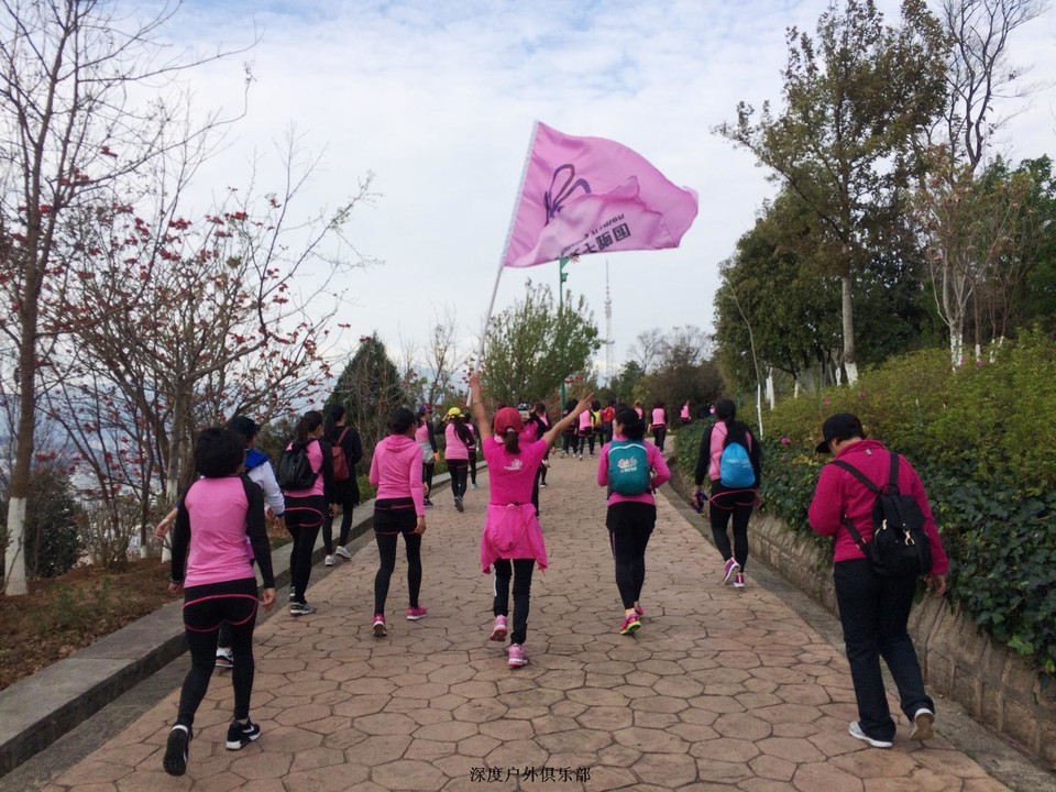 微信图片_20170313105040