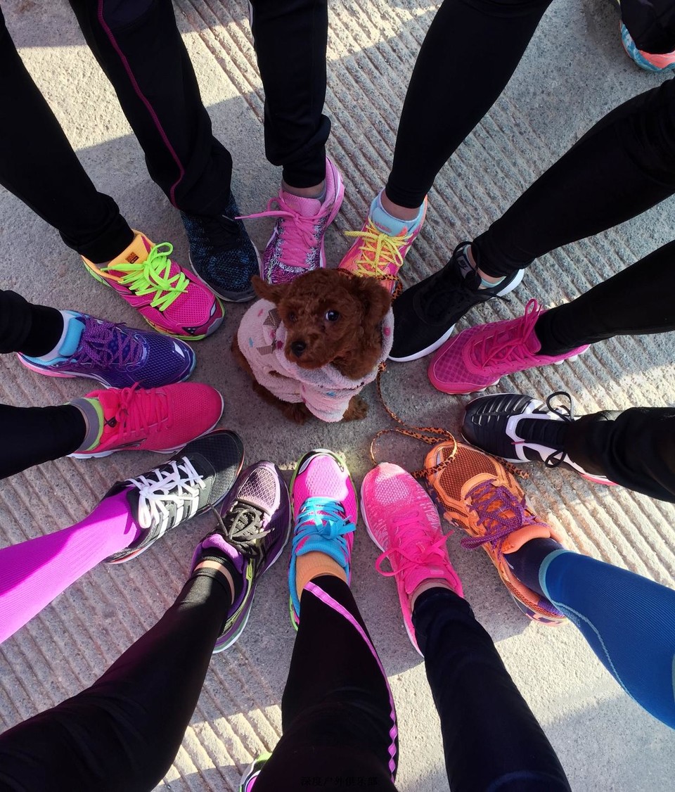 微信图片_20170313105051