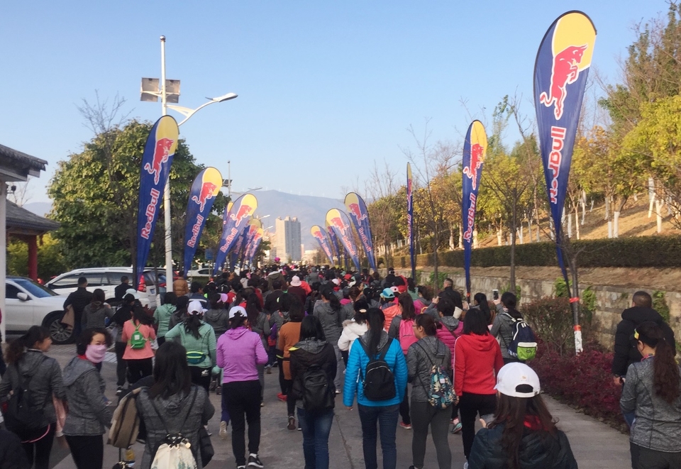 微信图片_20190311123026