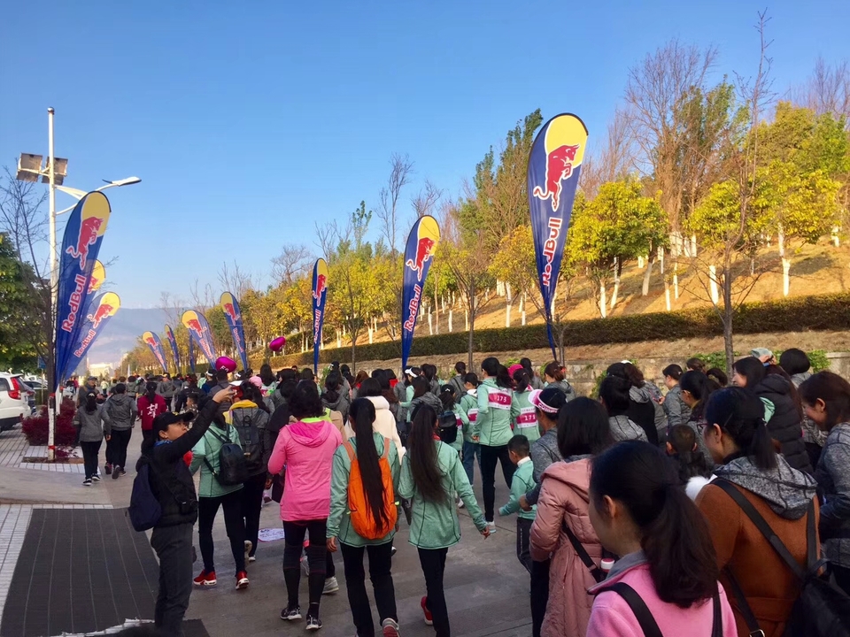 微信图片_20190311123022