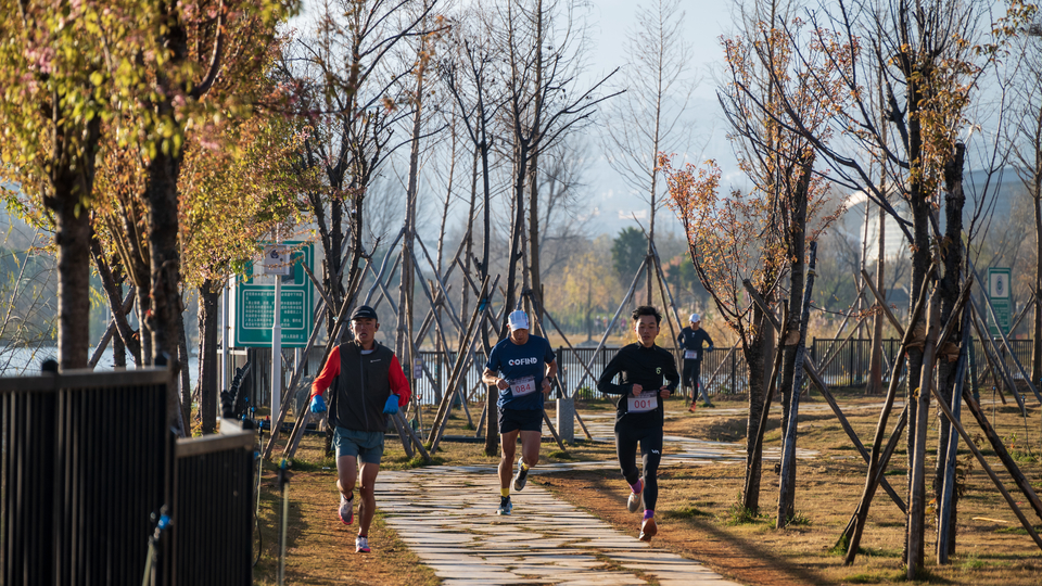 mmexport1737251709454