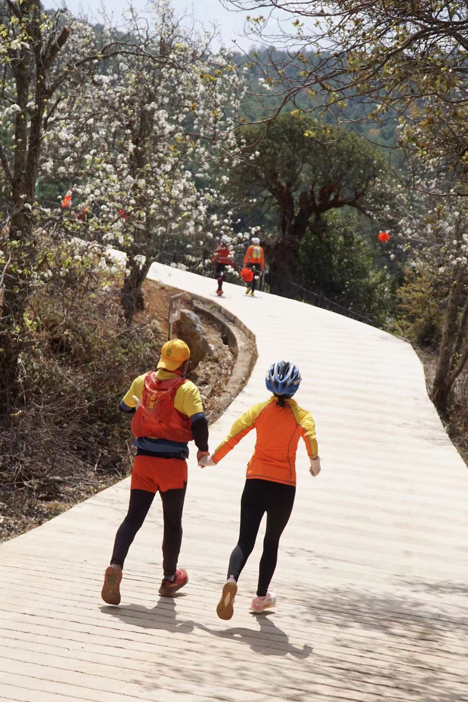 WechatIMG9406ca753baf9b9cd3c41fc59d80a875