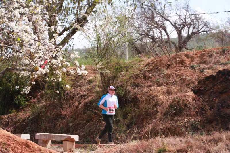 WechatIMG475169d05b74a8ff51a6524d6705ed43