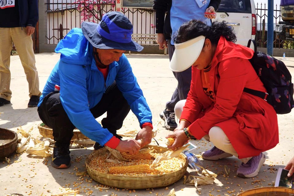 WechatIMGc00554f959453d4bd04df43a97adae4f