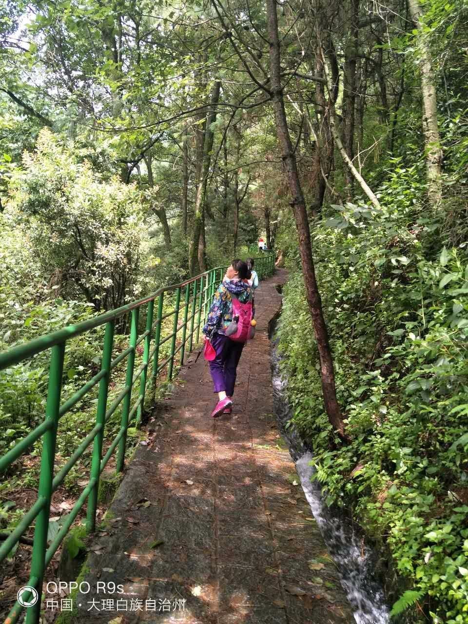 mmexport1501924726855