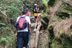 【报名】崇圣寺三塔至玉带路外环线约跑训练