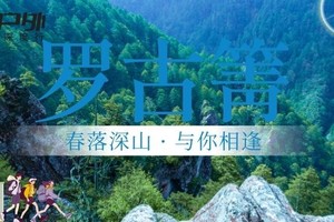 【深度出行】6.13-15徒步穿越罗古箐-大羊厂-沙溪古镇