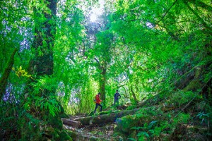 7月5日【精装版】穿越云南原始森林|高黎贡山徒步|温泉|