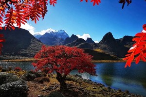 徒步招募 | 10月1-6日 哈巴西坡穿越黑海秘境，共赴一场秋日之约