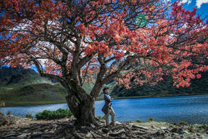 【报名开启】9.26-28哈巴黑海徒步+虎跳峡精华线