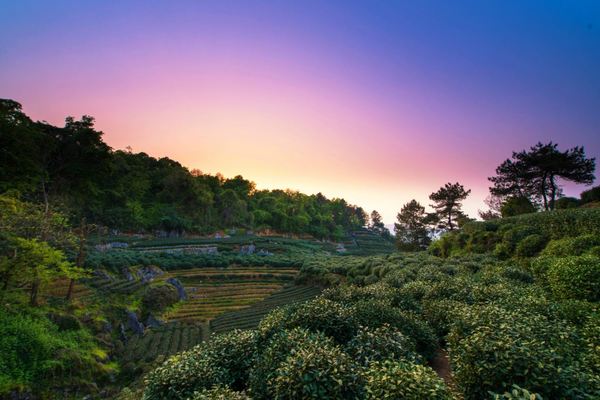 【踏遍青山·11】双峰一云栖。若问杭州何处好，此中听得野莺啼