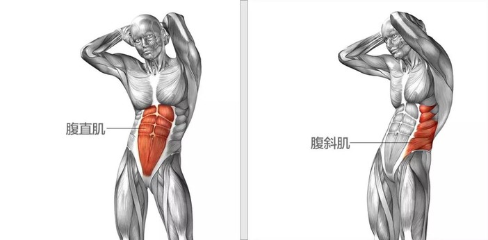 一般来说,所谓的六块肌,八块肌,王字腹肌与川字腹肌的形成都是在锻炼