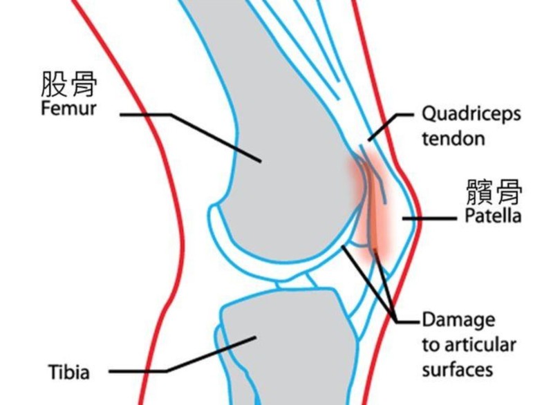 握住左大腿靠近膝盖部位,往膝盖方向按压;伸展大腿前侧的股四头肌.