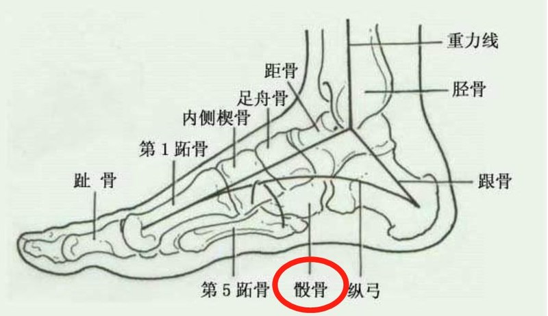 医学上,将前述这类状况归类为骰骨症候群,常见引起的原因有但不限于