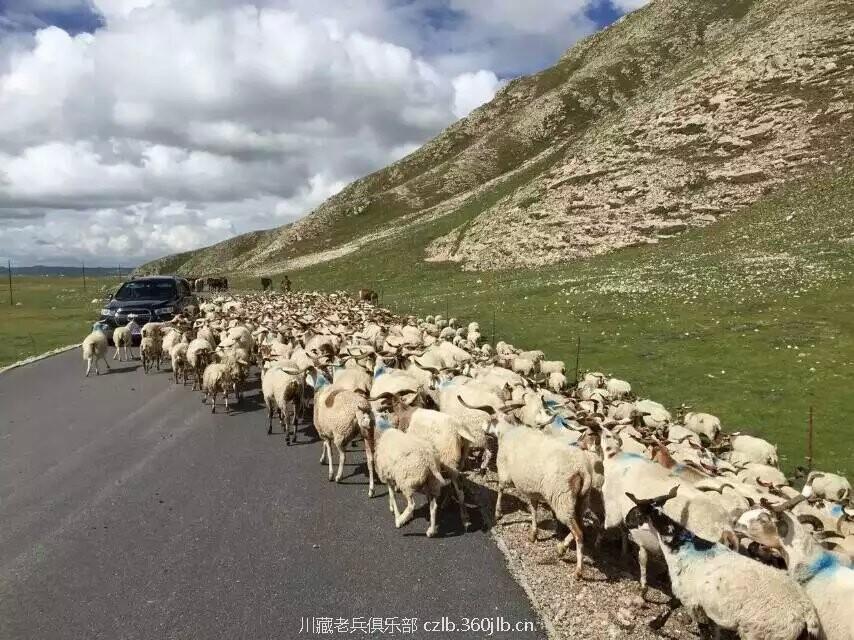 QQ图片20150817101440