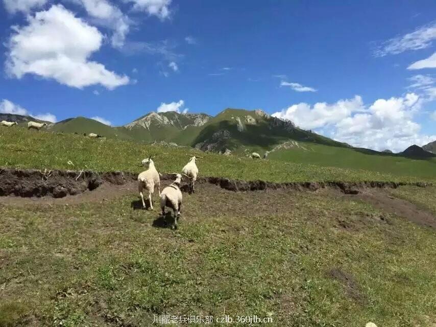 QQ图片20150817101445