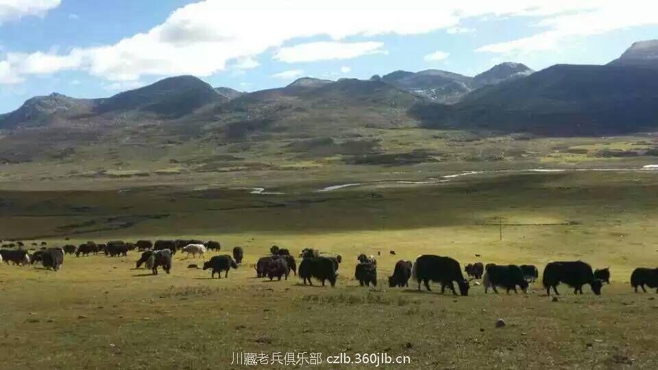 QQ图片20150929144020