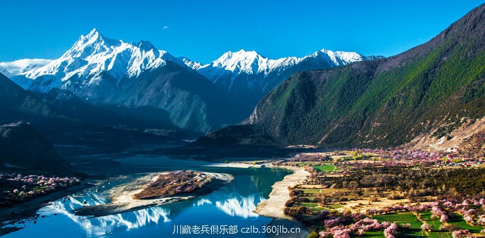 桃花——，