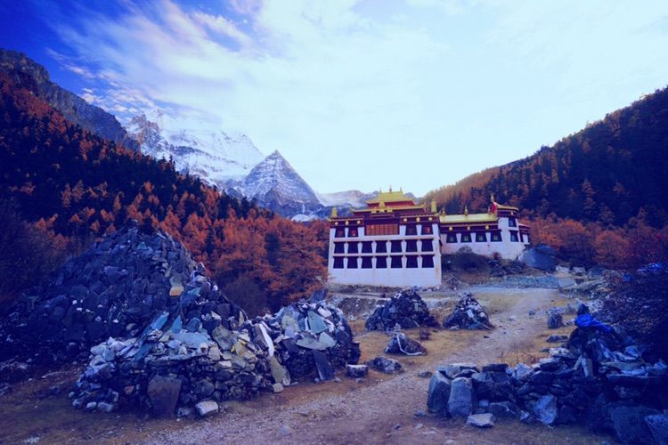 稻城17