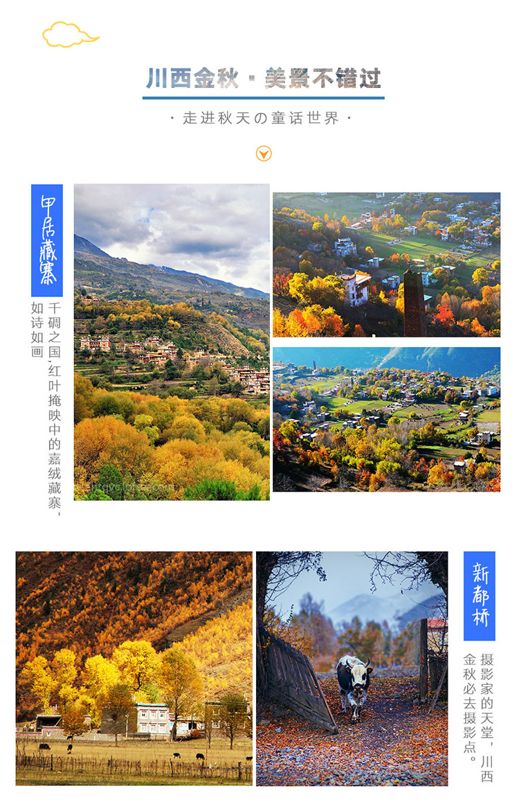 金秋系列：海螺沟新都桥丹巴美人谷金川达古冰川黑水彩林赏秋7日游_04