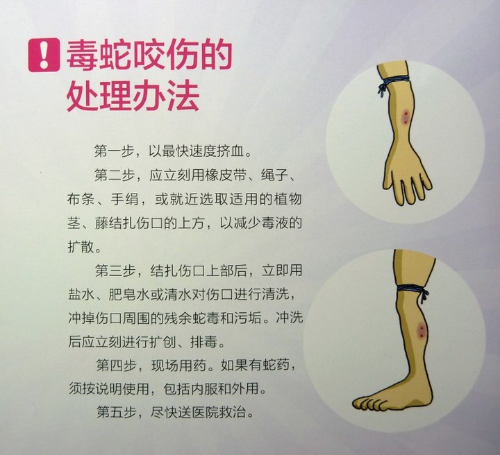 P1090279.jpg P1090279.jpg