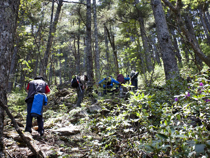 点击图片或使用键盘← →翻页  点击图片或使用键盘← →翻页