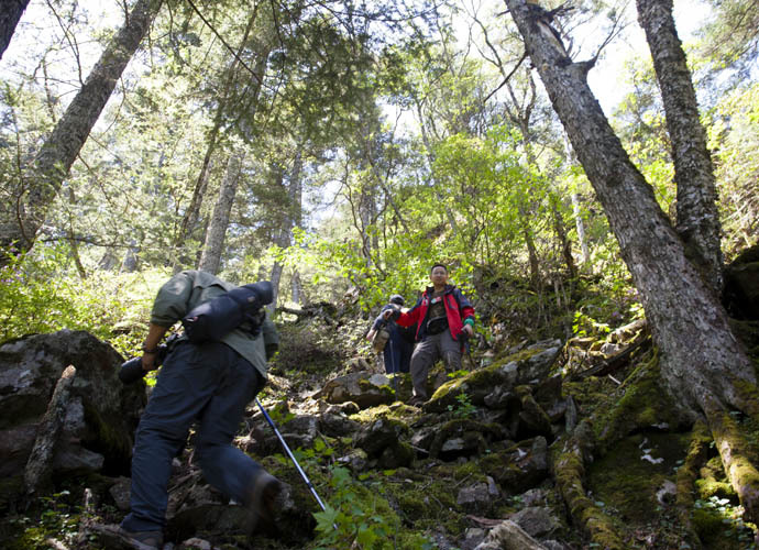 点击图片或使用键盘← →翻页  点击图片或使用键盘← →翻页