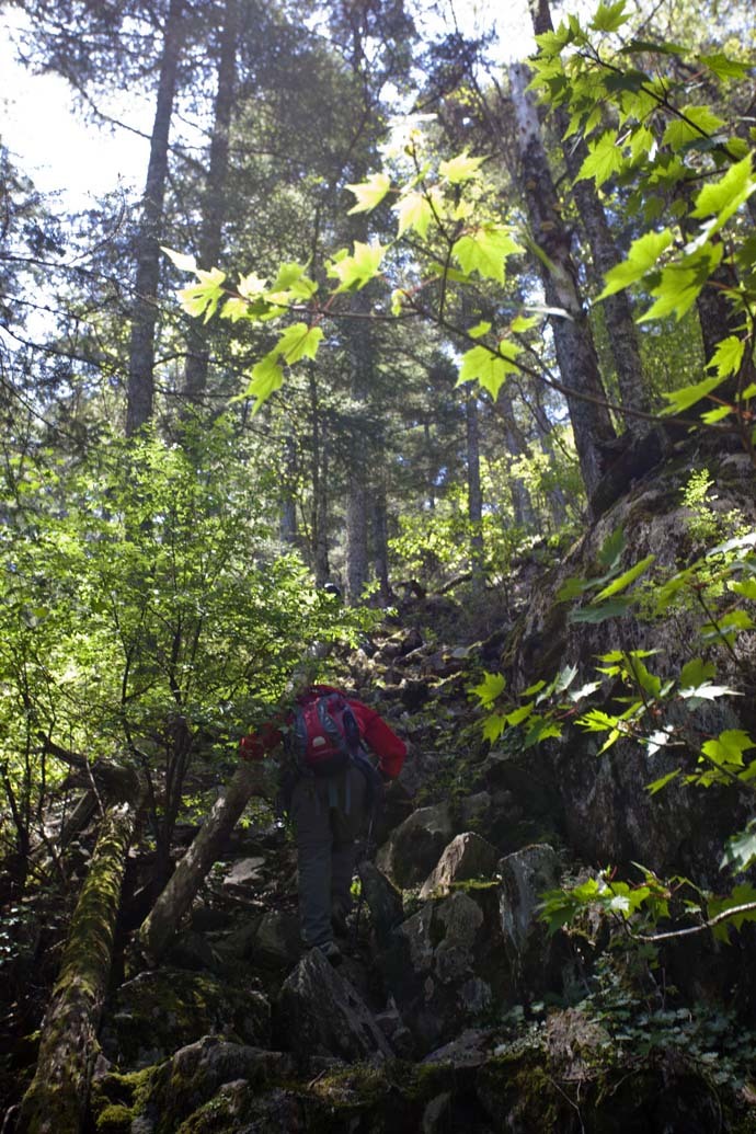 点击图片或使用键盘← →翻页  点击图片或使用键盘← →翻页