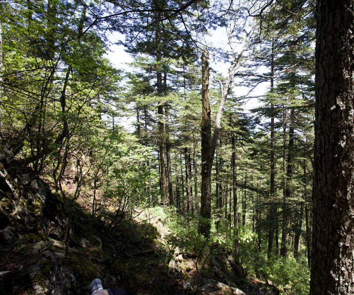 点击图片或使用键盘← →翻页  点击图片或使用键盘← →翻页