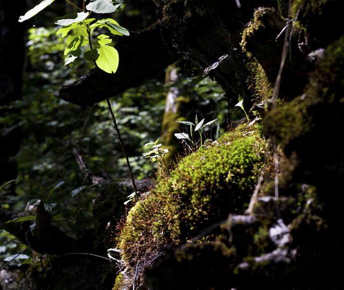 点击图片或使用键盘← →翻页  点击图片或使用键盘← →翻页