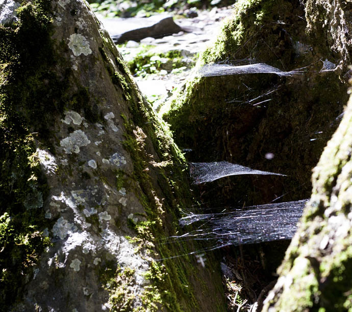 点击图片或使用键盘← →翻页  点击图片或使用键盘← →翻页