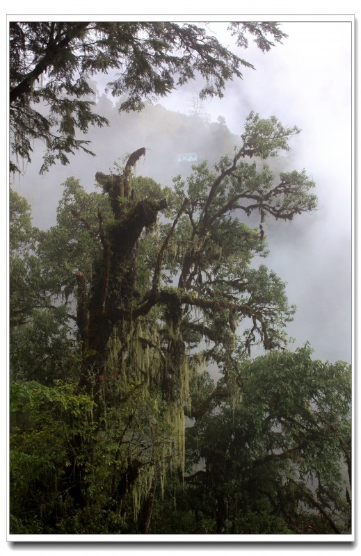 探秘独龙江 (13).JPG 探秘独龙江 (13).JPG