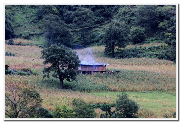 雾里村风光(怒江) (2).JPG 雾里村风光(怒江) (2).JPG