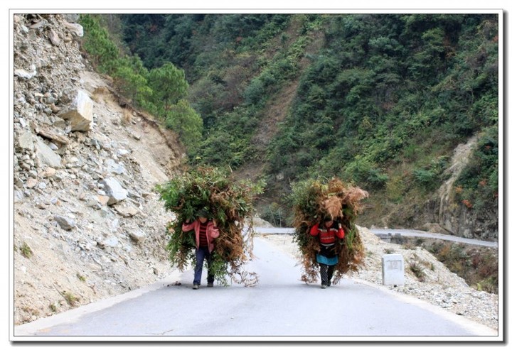 走进丙中洛 (28).JPG 走进丙中洛 (28).JPG