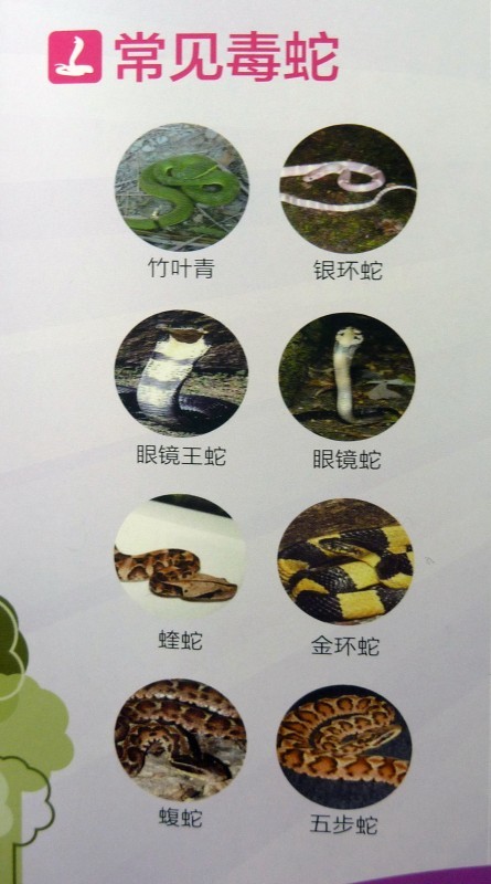 P1090278.jpg P1090278.jpg