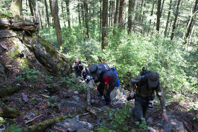 点击图片或使用键盘← →翻页  点击图片或使用键盘← →翻页