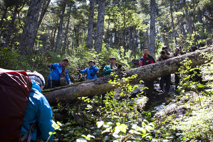 点击图片或使用键盘← →翻页  点击图片或使用键盘← →翻页