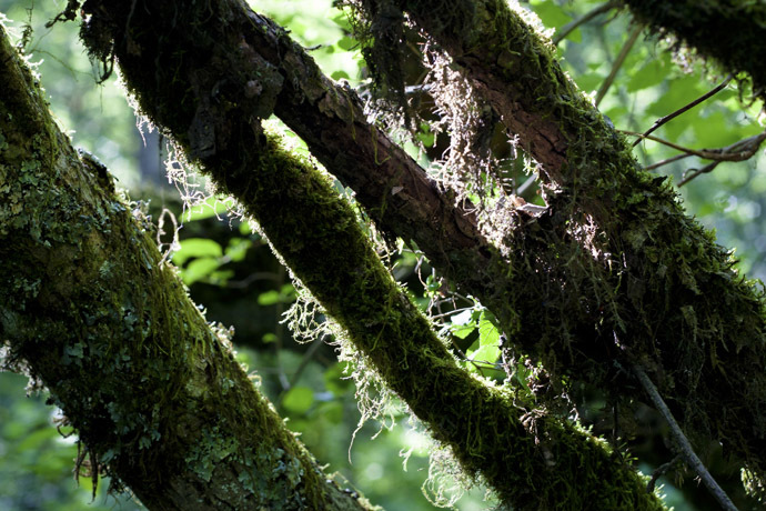 点击图片或使用键盘← →翻页  点击图片或使用键盘← →翻页