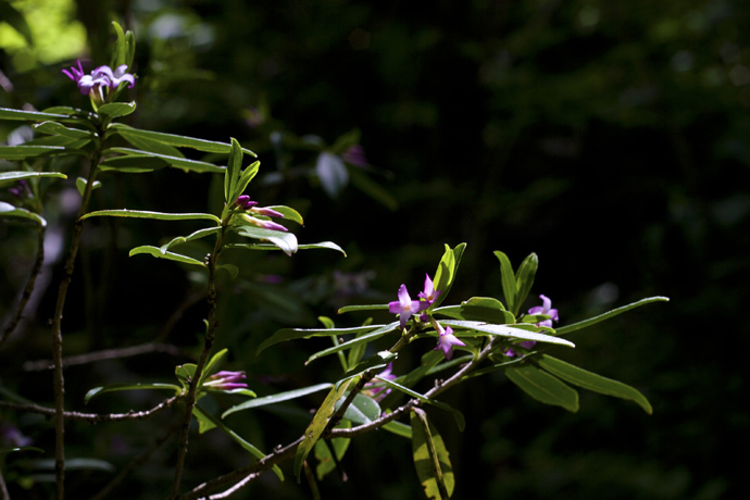 点击图片或使用键盘← →翻页  点击图片或使用键盘← →翻页