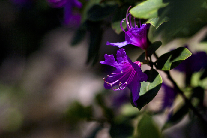 点击图片或使用键盘← →翻页  点击图片或使用键盘← →翻页