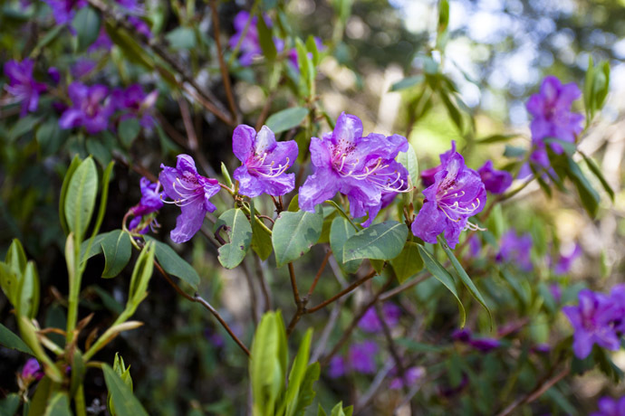 点击图片或使用键盘← →翻页  点击图片或使用键盘← →翻页