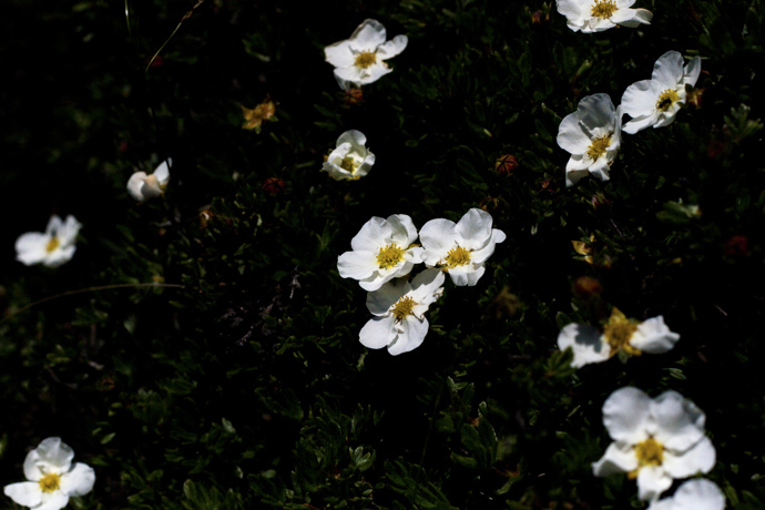 点击图片或使用键盘← →翻页  点击图片或使用键盘← →翻页