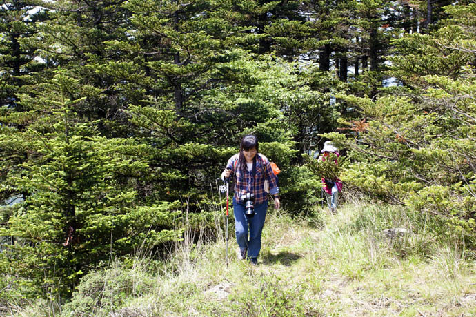 点击图片或使用键盘← →翻页  点击图片或使用键盘← →翻页