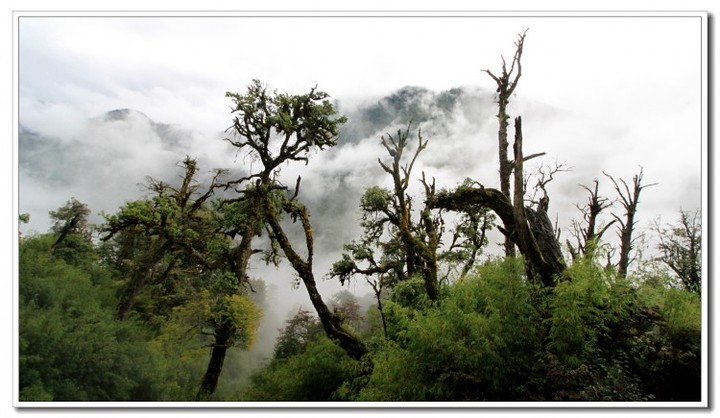 探秘独龙江 (135).JPG 探秘独龙江 (135).JPG