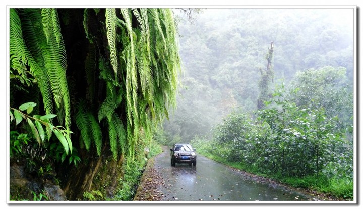 探秘独龙江 (10).jpg 探秘独龙江 (10).jpg