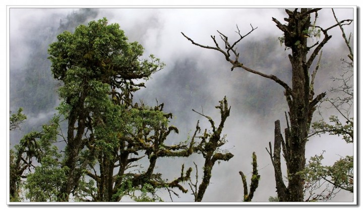 探秘独龙江 (17).JPG 探秘独龙江 (17).JPG