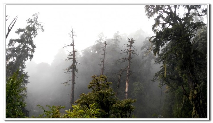 探秘独龙江 (22).jpg 探秘独龙江 (22).jpg