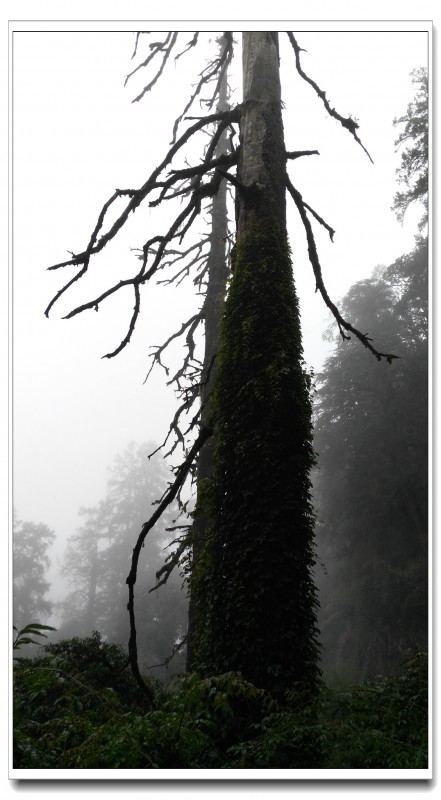 探秘独龙江 (23).jpg 探秘独龙江 (23).jpg