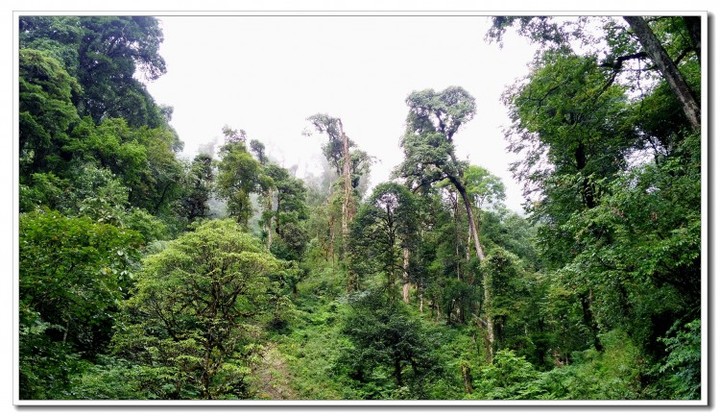 探秘独龙江 (11).jpg 探秘独龙江 (11).jpg